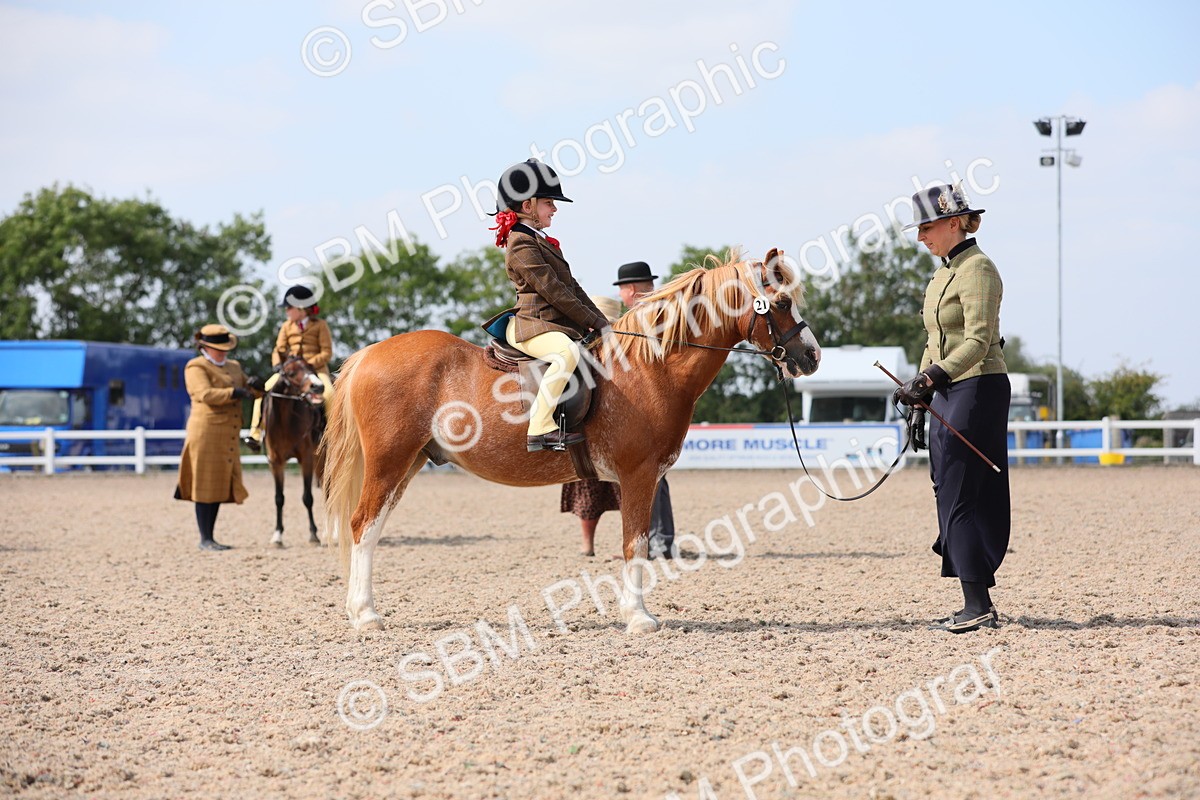SBM_14065 - Class 309 Lead Rein Pony