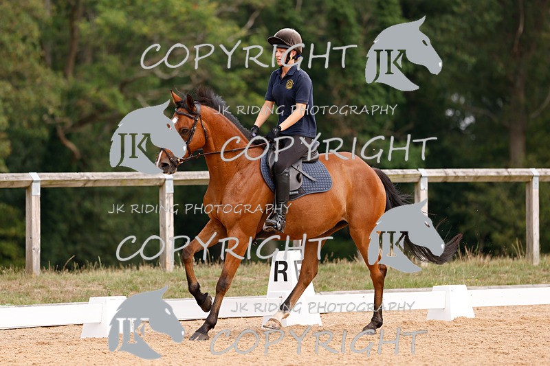 _R6A2682 - Dressage Morning