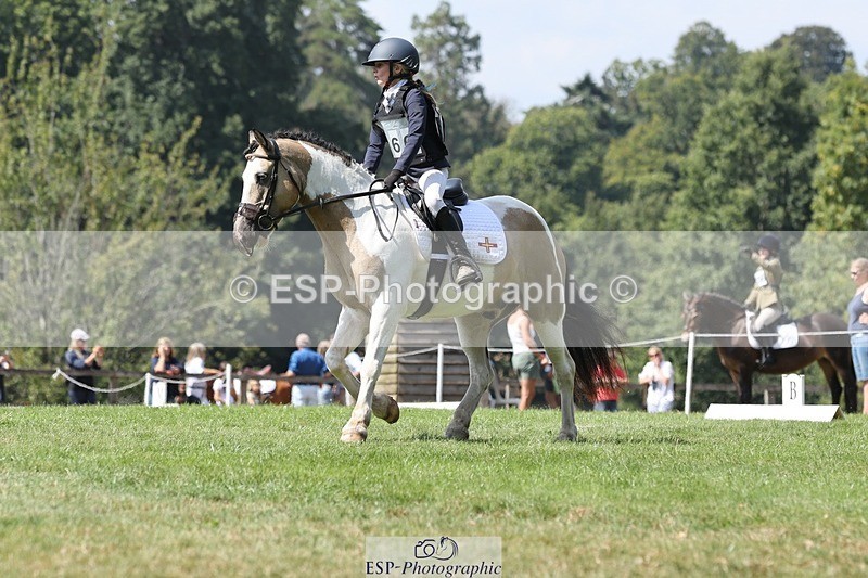 250823A-133641-31338 - Arena D