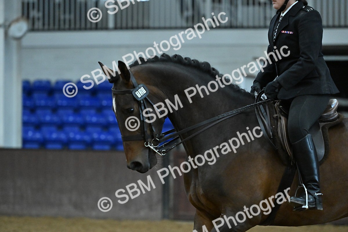 SBM_002080 - Class 23 - BSHA Ridden Show Hunter