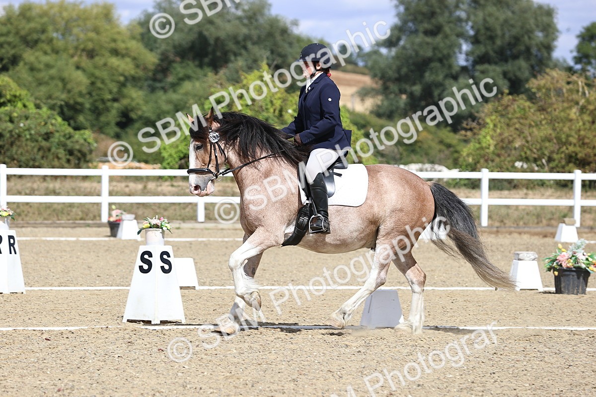SBM_014572 - Class 5 - E5 Bronze 13.30.14.18
