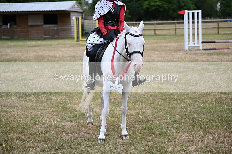 WJ6_4962 - Class 11 Fancy Dress
