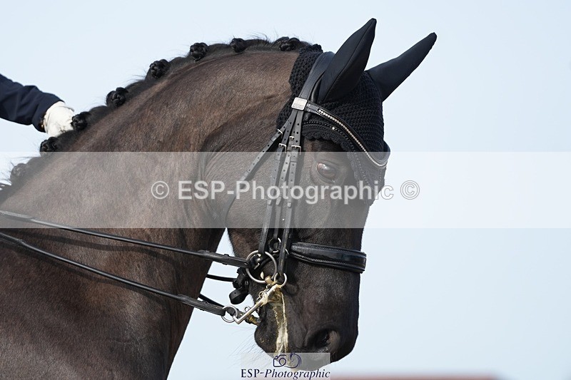 260214-135936-04334 - 083-Toni.Terry