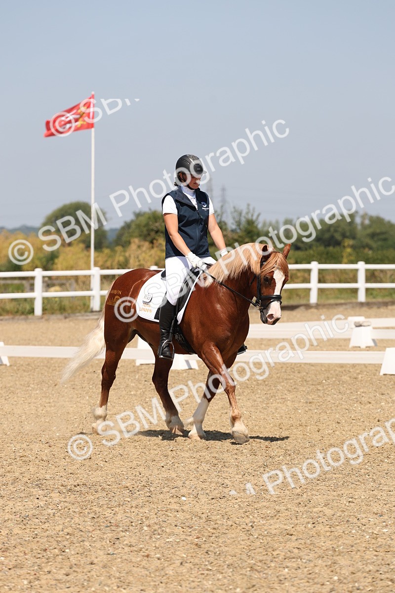 SBM_004300