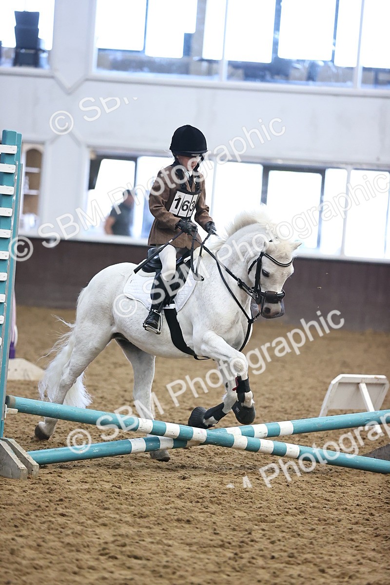 SBM_000268 - Class 2 - The Rug Lady 40cm Area 12 Championship Qualifier