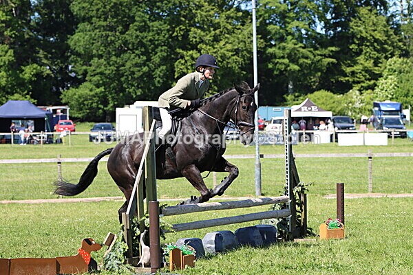 IMG_4136 - Working Hunter