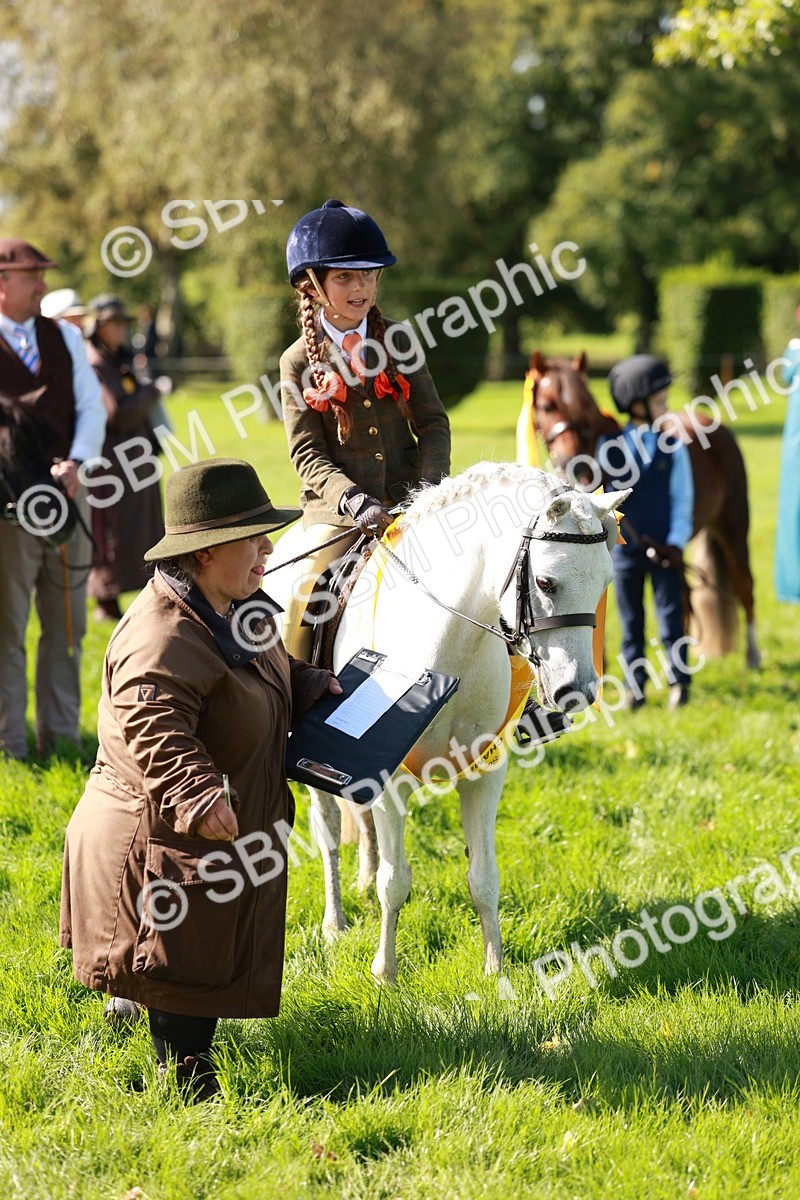 SBM_42155 - S32 - Mountain & Moorland Working Hunter Pony