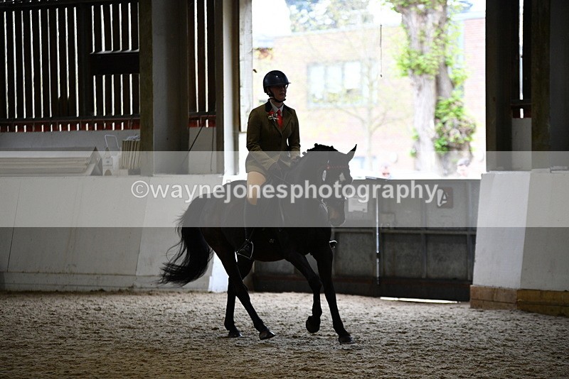 WJ5_6313 - Class 9 Ridden Veteran