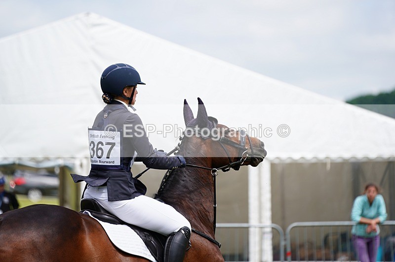 240630X-114010-8000 - 367-Hollie_Heath-KINGS_ROSE