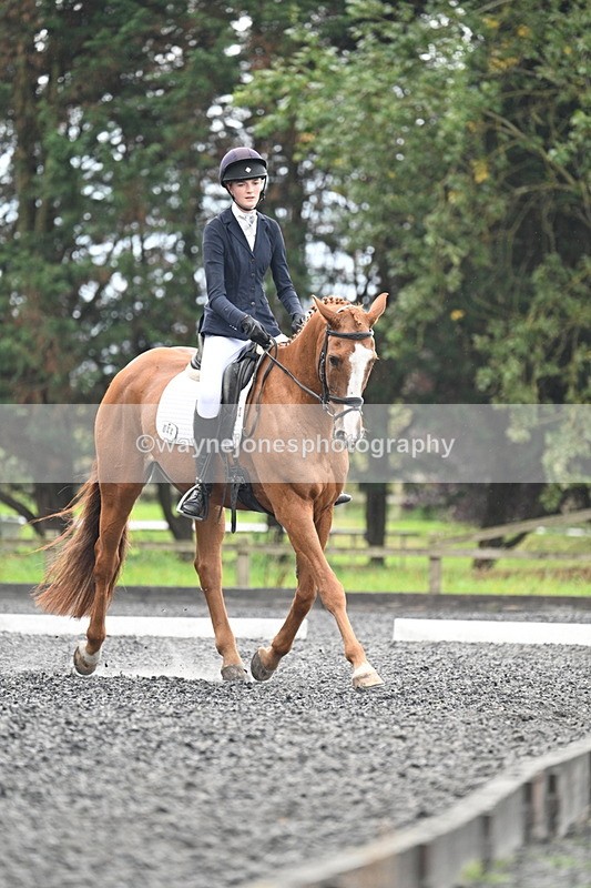 WJ7_6737 - Time 14:49 to 15:14