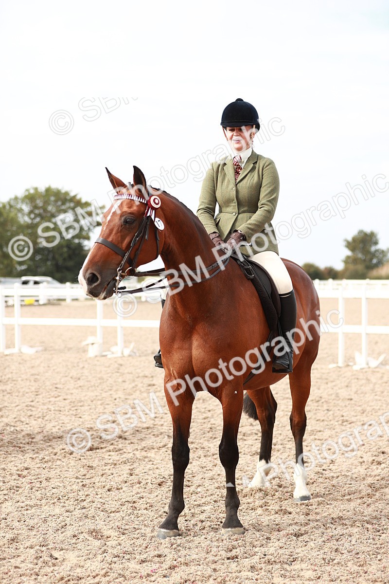 SBM_17553 - Class 215 Ridden Hack/ Riding Horse
