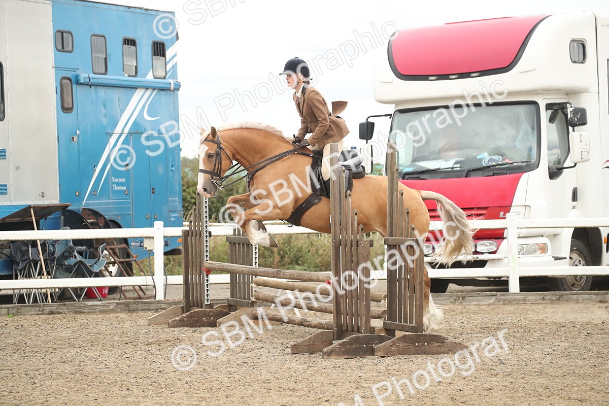 SBM_18304 - Class 509a - Working Veteran - 80cm (15-19)