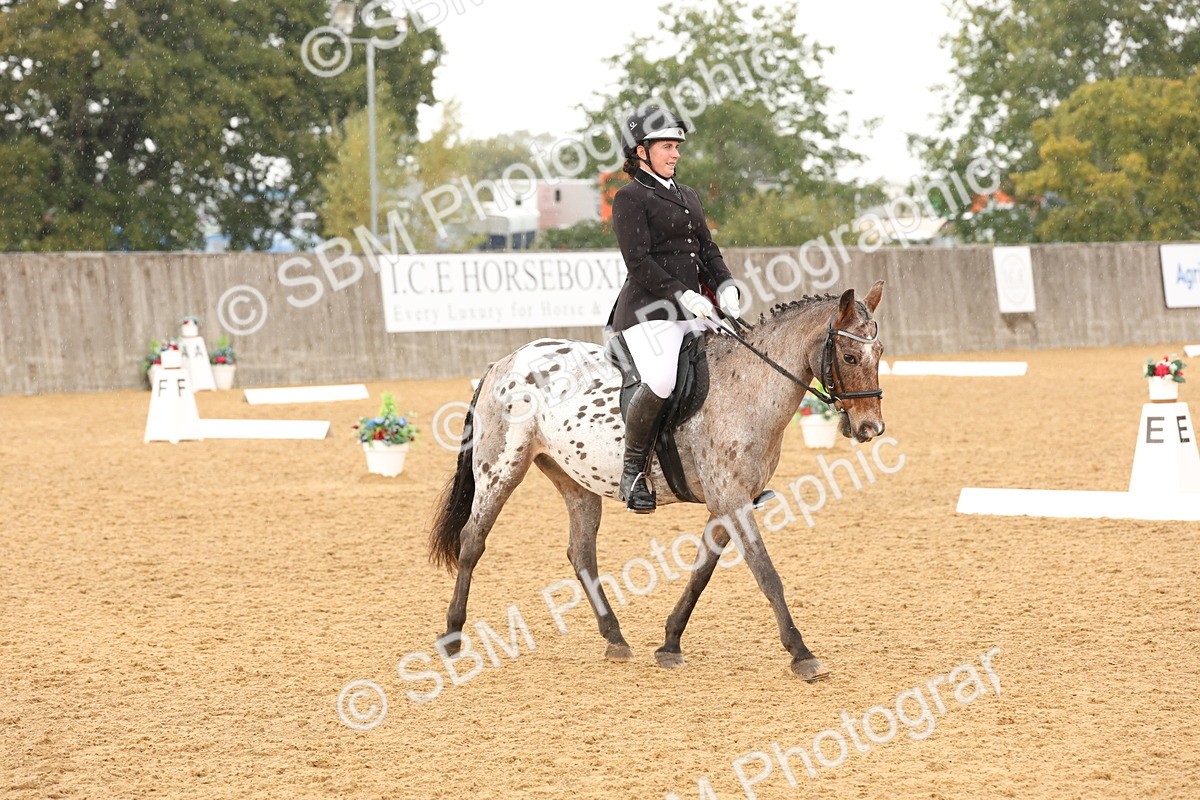 SBM_44121 - D6 - Small Tour Championship Intro 4