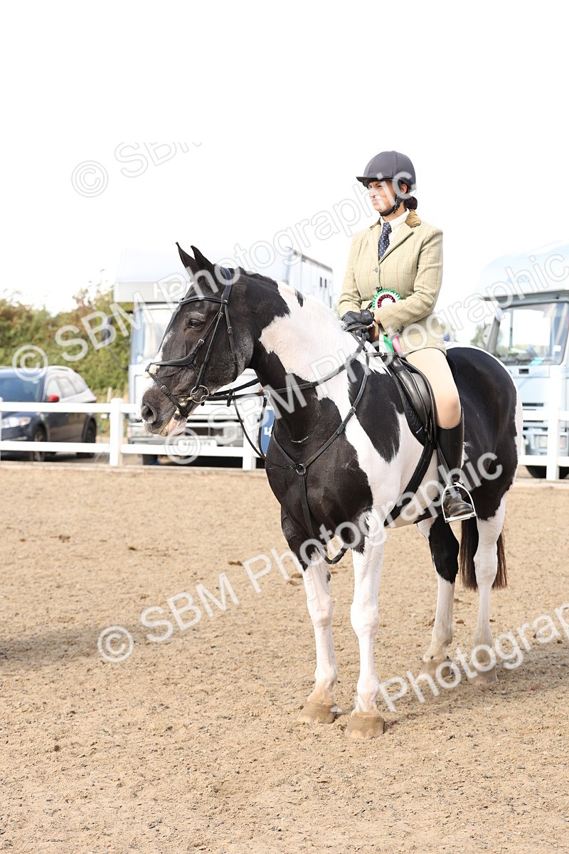 SBM_06817 - Class 58a -  Style & Performance - 70cm (15-19)