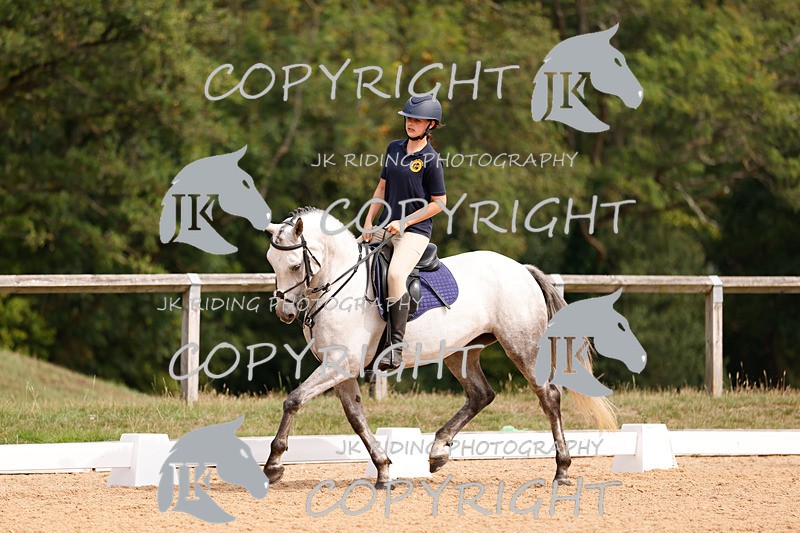 _R6A2562 - Dressage Morning