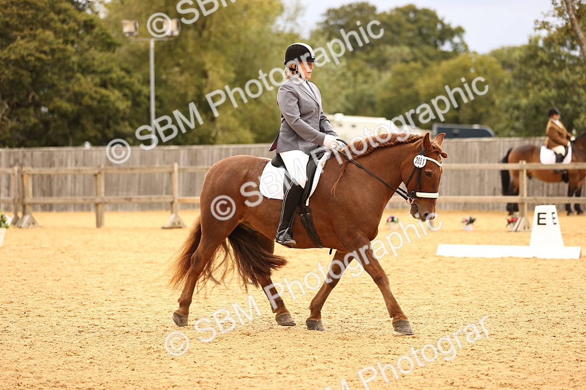 SBM_11676 - D9 Small Tour Championship Prelim 18