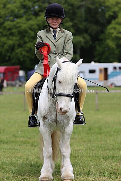 IMG_2726 - Working Hunter