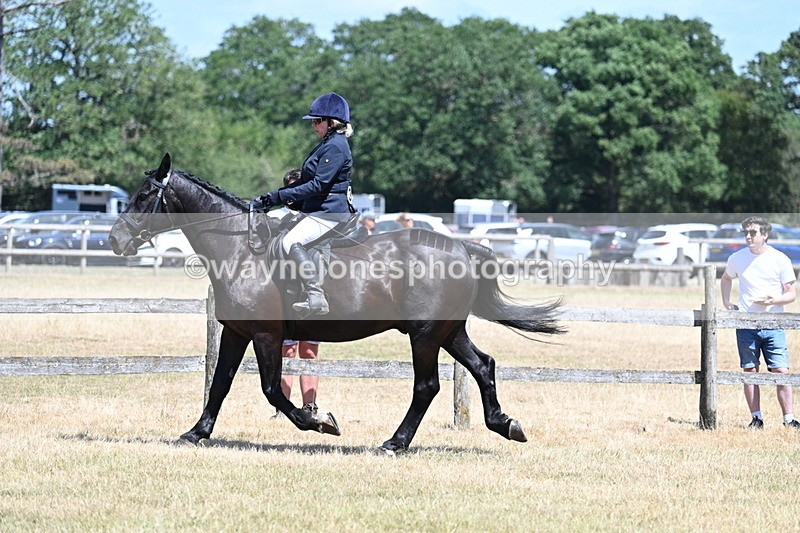 WJ7_2793 - Class 7 Riding Club Show Horse