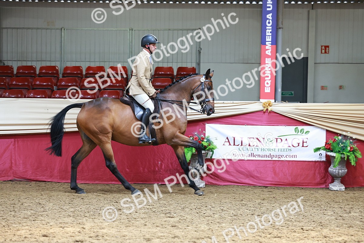 SBM_15003 - Class 108 - Ridden Retired Racehorse