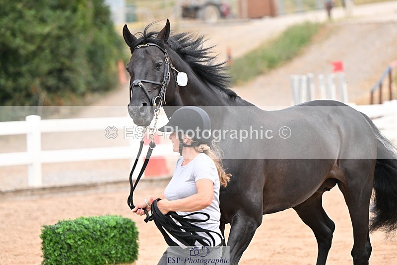 250716-143824-01253 - Trot Up 2.30 to 3.30