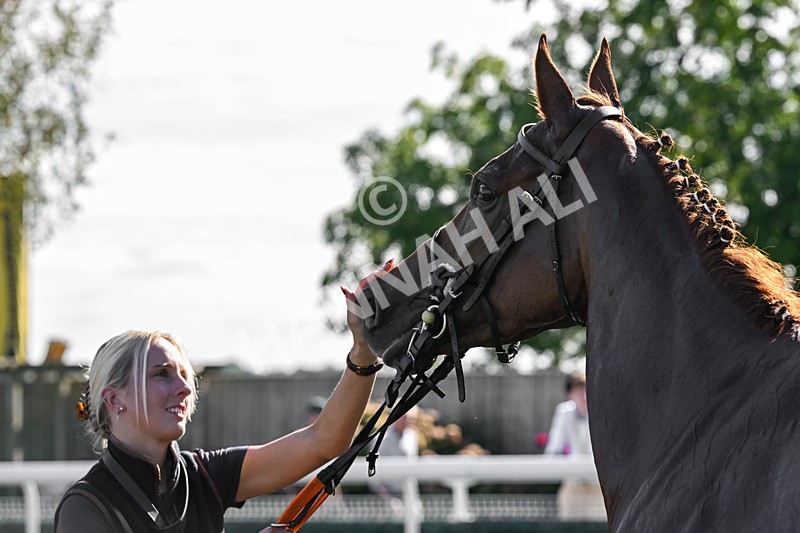 220926-Race 1-Snooker McCrew-2943 - Race 1 1.30pm Churchill Tyres Apprentice Handicap