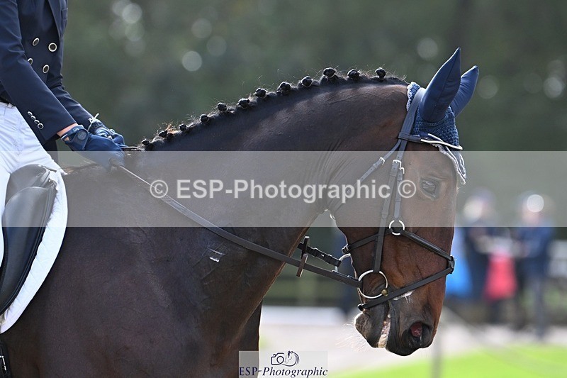 231019-142527-04173 - 052-SHANNONDALE.COURAGE-Georgina.Beeby.Wynn-DR