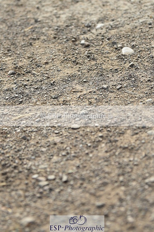 230817-095058-01678 - Kay's 1st Group - Arena