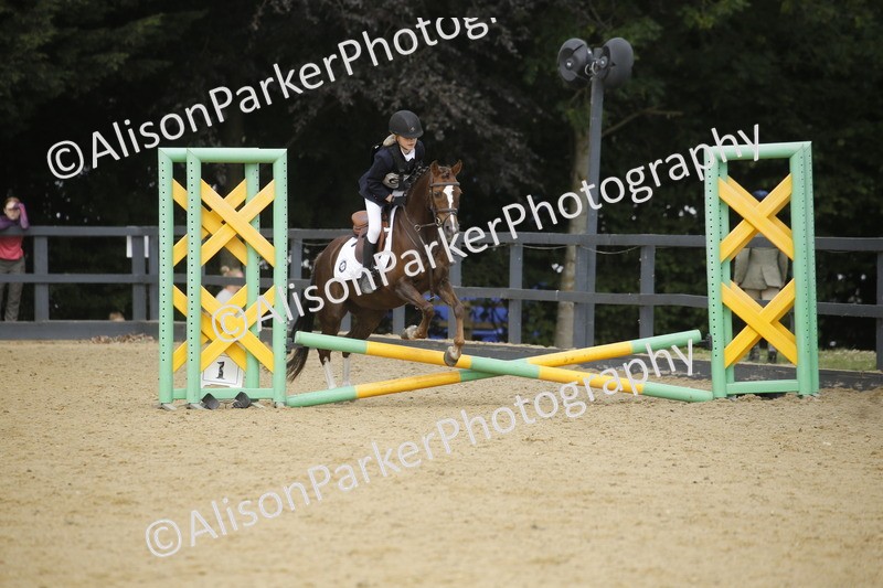 20250622-3691 - 50cm