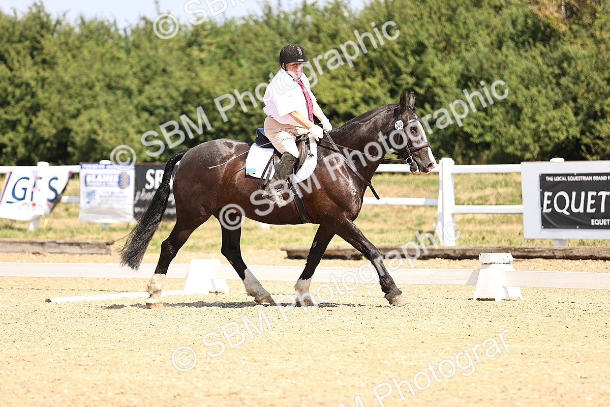 SBM_003618 - Intro 2