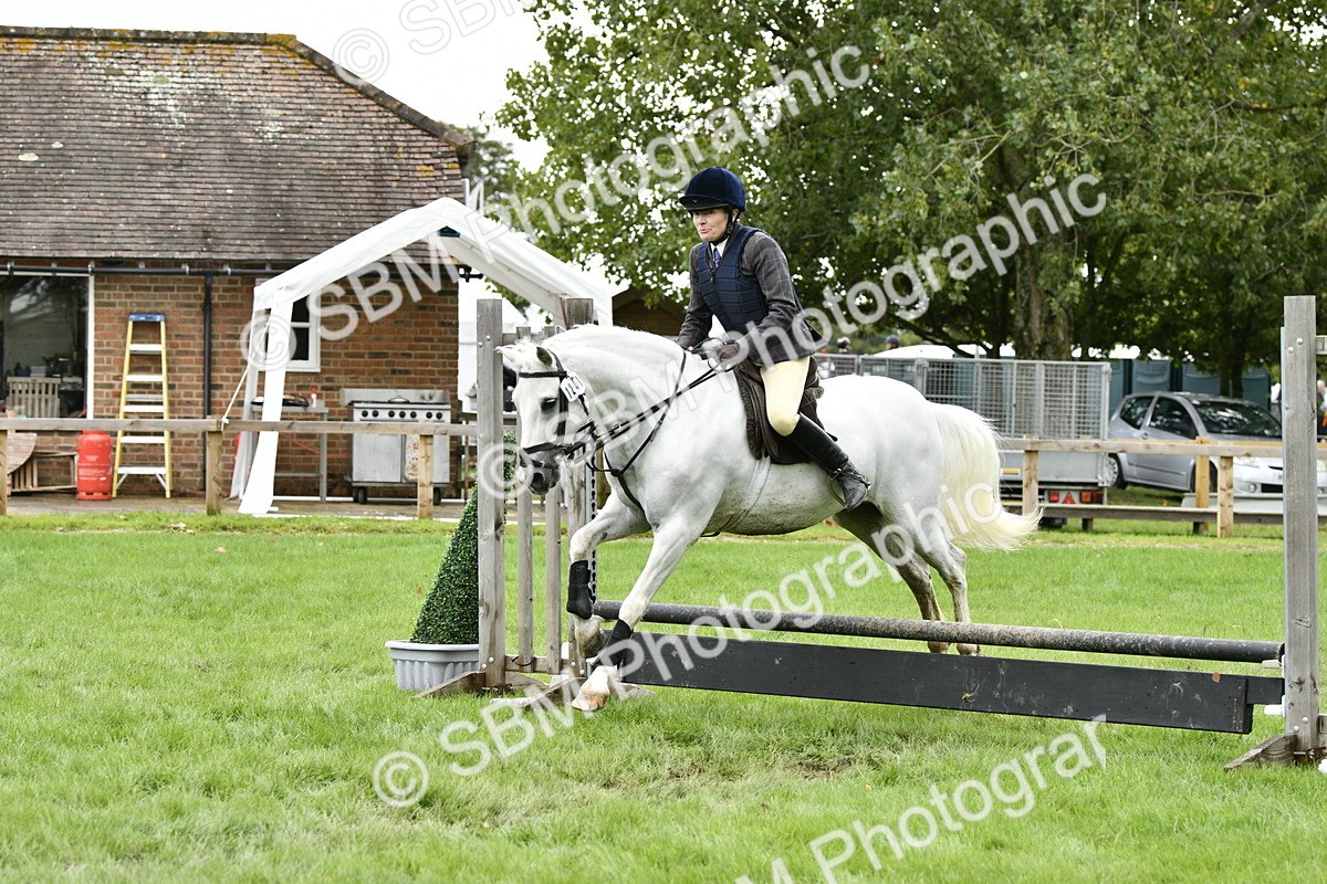 SBM_41299 - S32 - Mountain & Moorland Working Hunter Pony