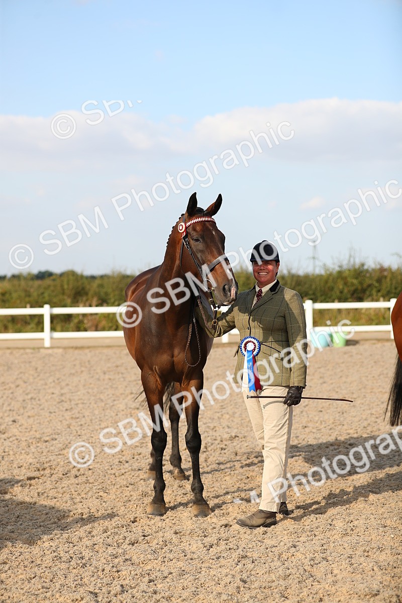 SBM_08681 - Class 28 - IH Veteran Horse