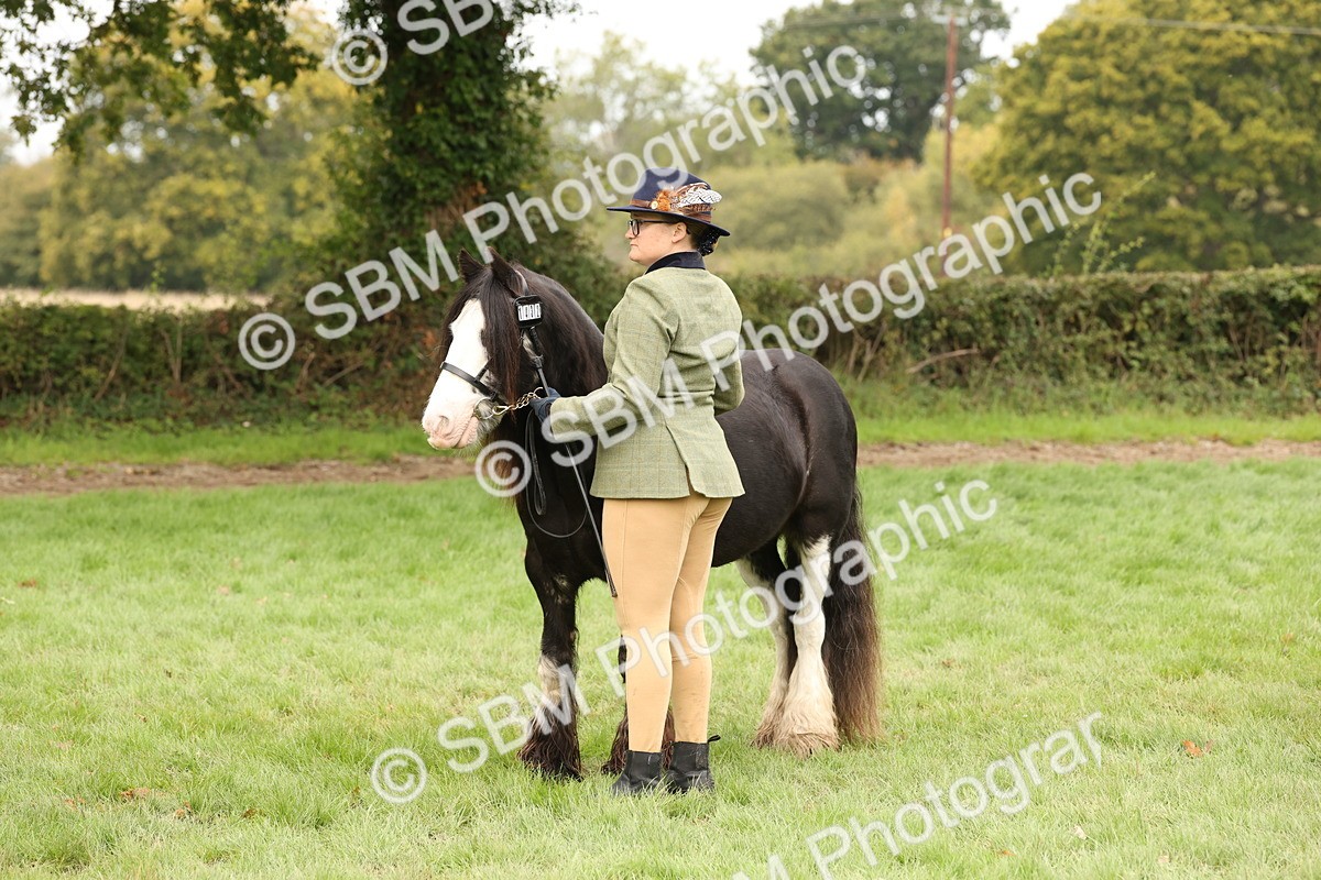 SBM_59329 - S57 - Traditional Cob In Hand