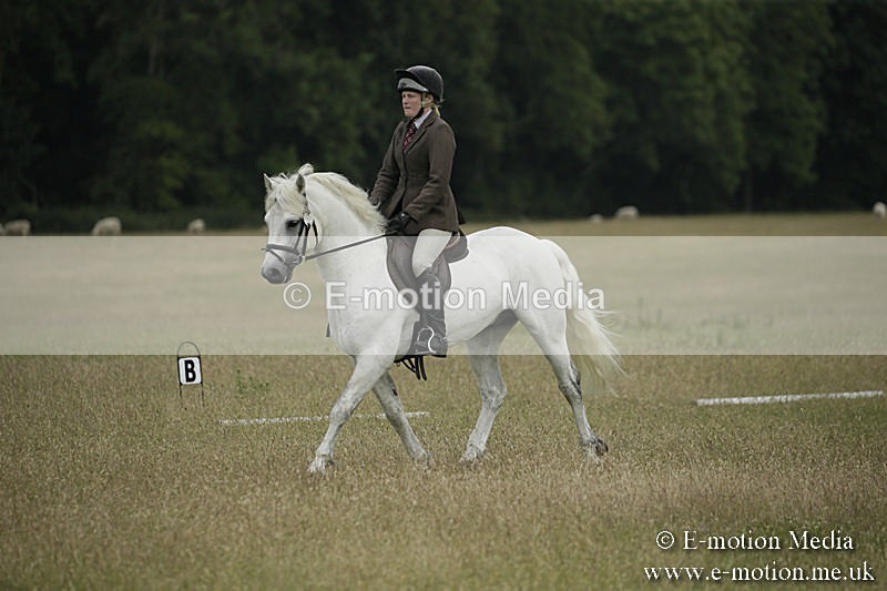 B230619-0349 - Bourne Valley Riding Club Summer Show 23/06/19