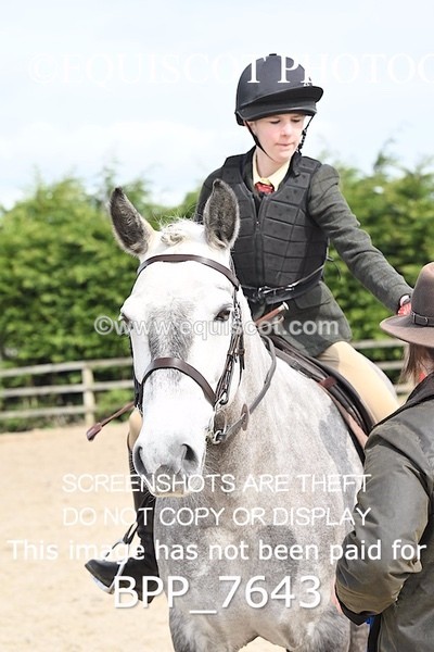BPP_7643 - RING 1  (RIDDEN HORSES / IN HAND / VETERAN ETC)