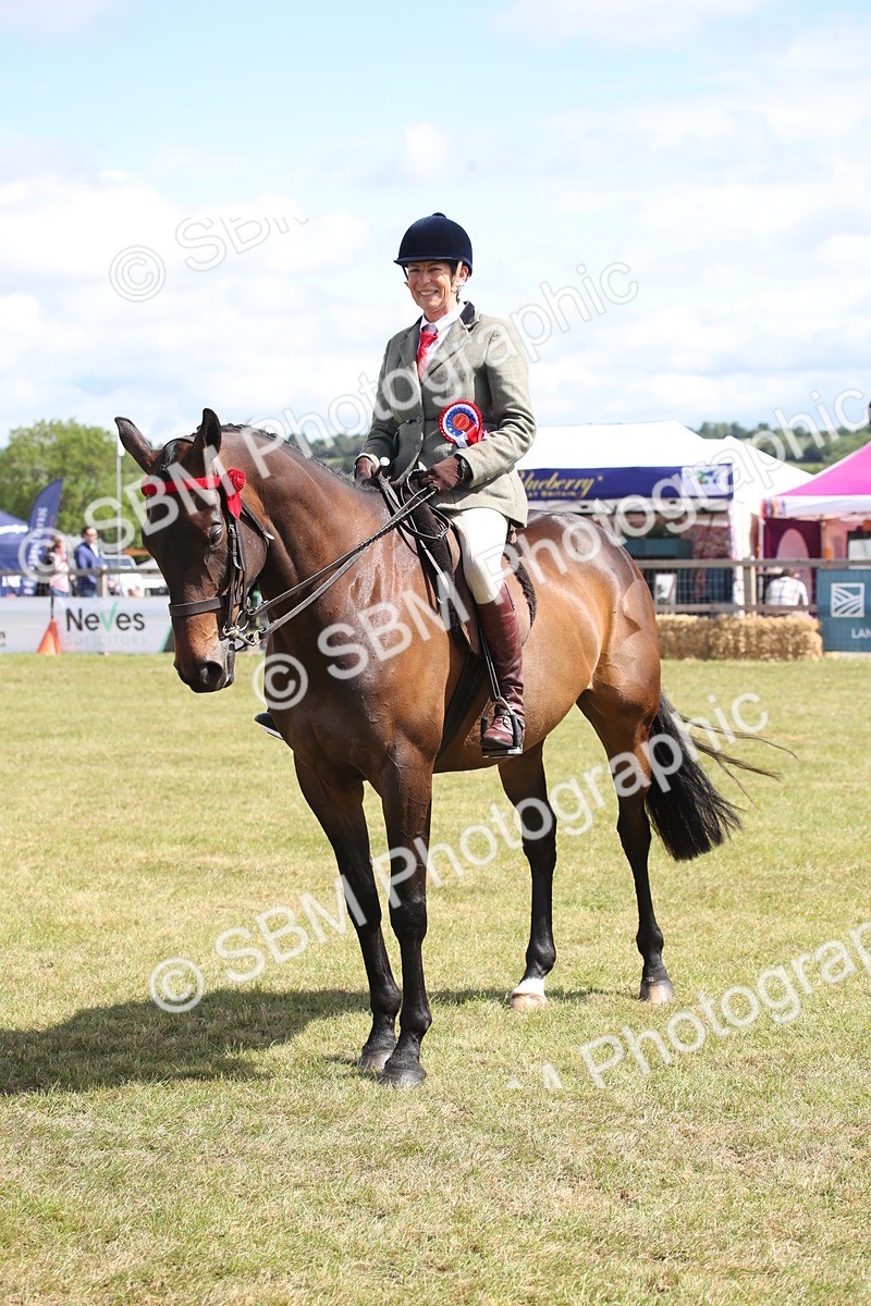 SBM_13338 - Class 95-96 - LIHS BSHA Rising Star Hack Riding Horse