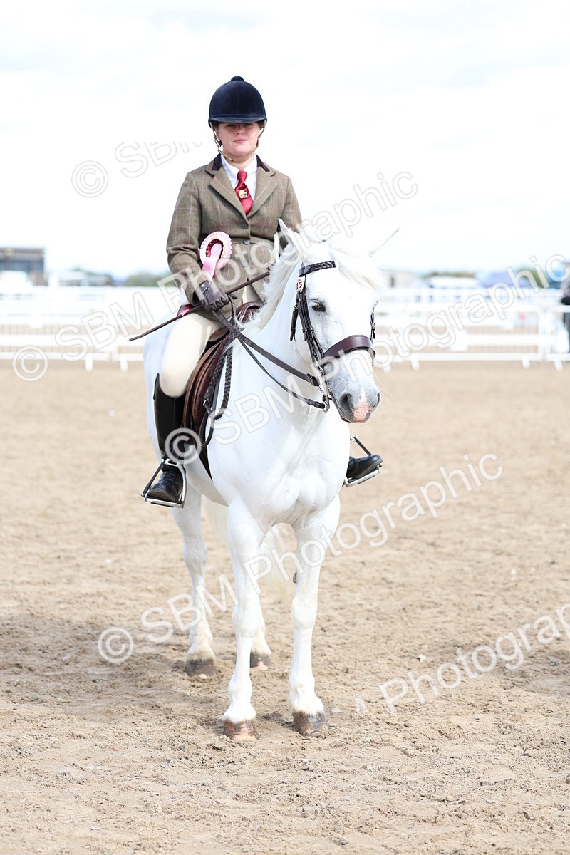 SBM_02408 - Class 19 - Horse or Pony Judge would most like to take home