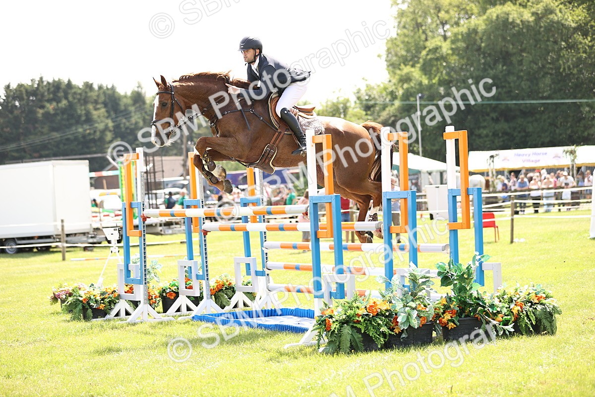 SBM_03296 - Class 201 - British Horse Feedds Speedi Beet HOYS Grade C