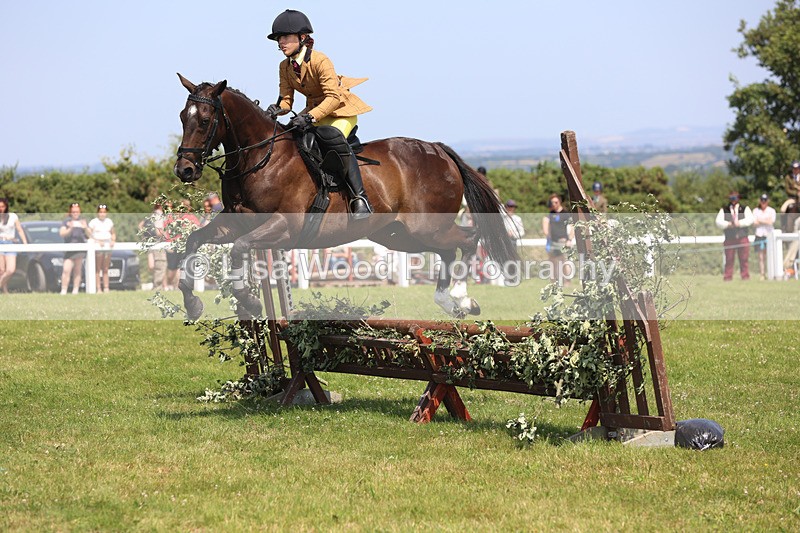 JPP_3060 - Class 22: Working Hunter 70cm