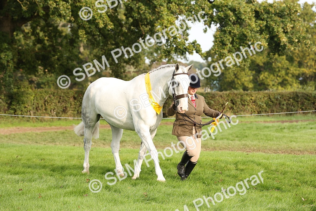SBM_54723 - S53 - Hunter In Hand