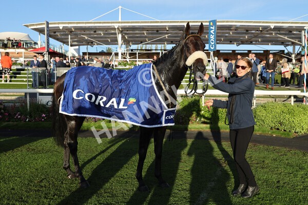 yr08102022r7-64 - Race 7 5.00pm The Coral Gets You Closer To The Action Stakes