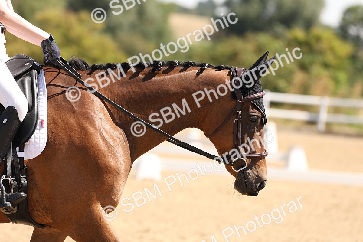 SBM_001141 - Intro 2