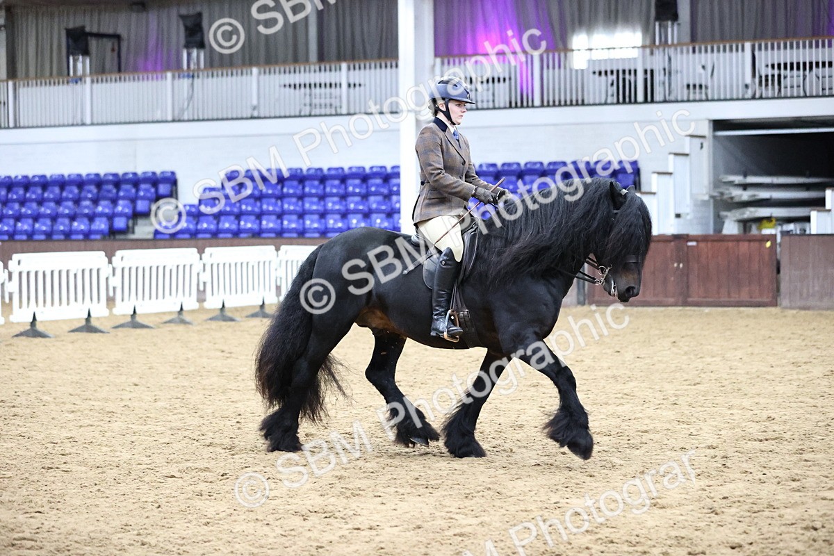 SBM_6545 - Class 43 - Ridden Native Breeds
