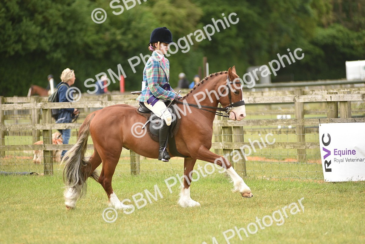 SBM_12082 - Class 110-112 - LIHS BSPS Performance Pones