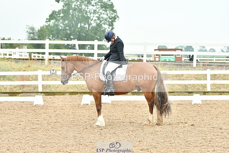 230708A-135457-02883 - Elementary 43