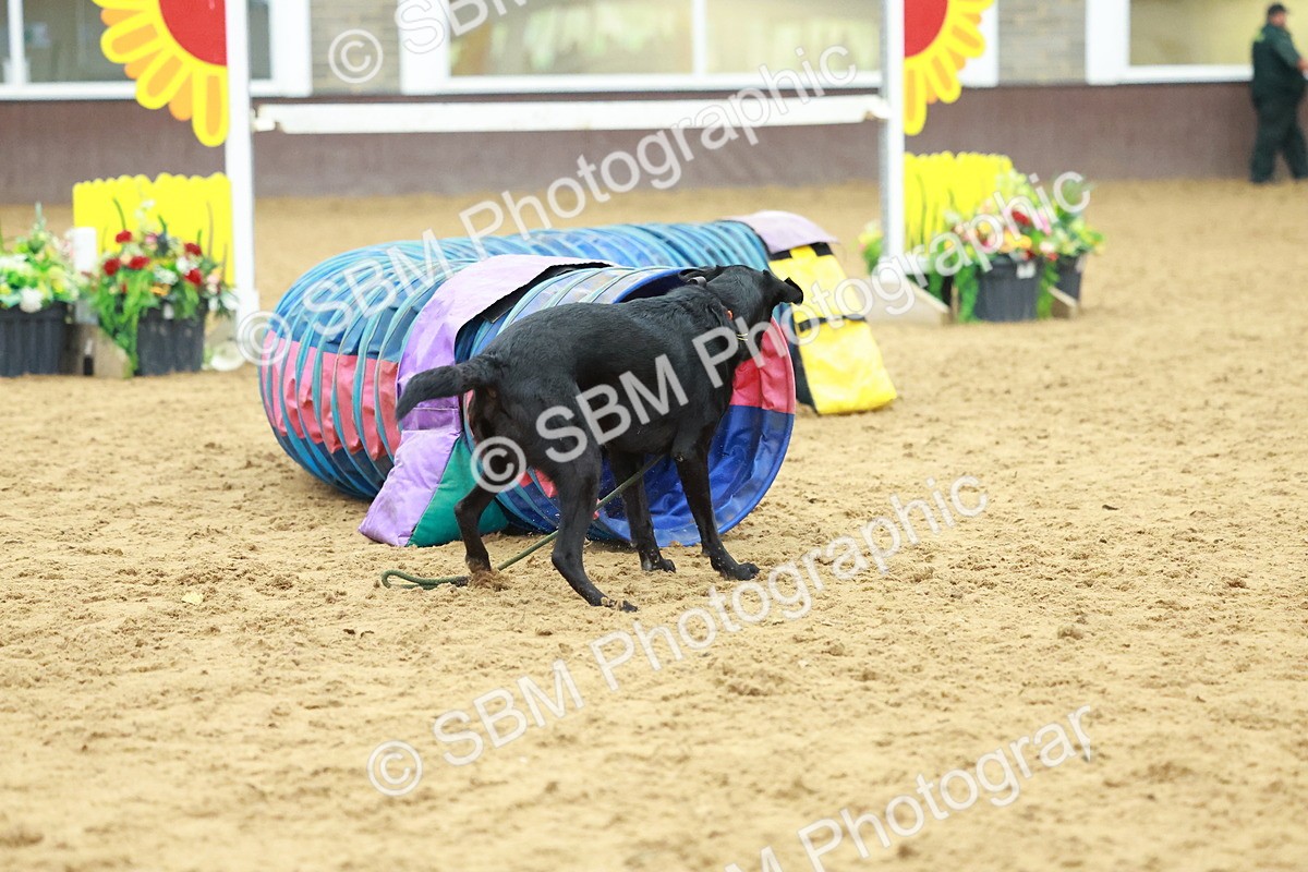 SBM_002571 - Class 3 - Horse & Hound (60cm)