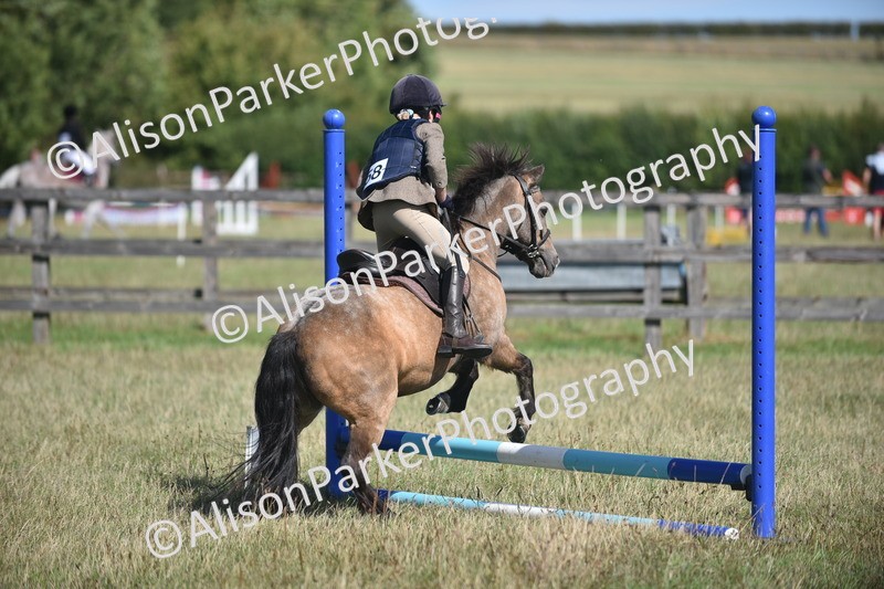20260906-1416 - Class 8 - Hoof and Foot