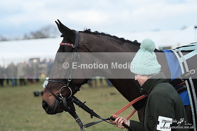 PtP 250126 858 - Cocklebarrow Races Point-to-Point 25/01/26