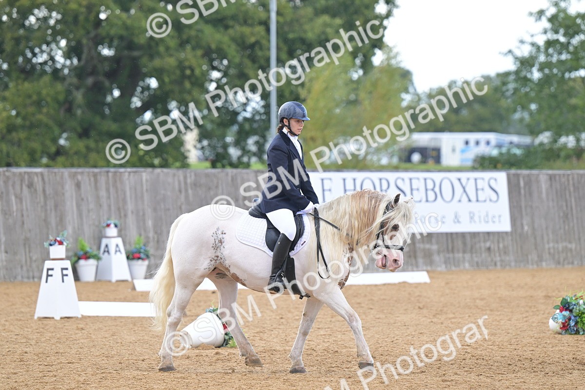 SBM_11200 - D3 - Small Tour Championship Intro 3