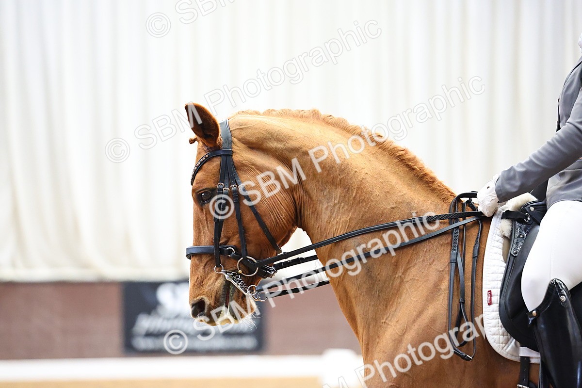 SBM_007938 - Class 21 - Medium 5