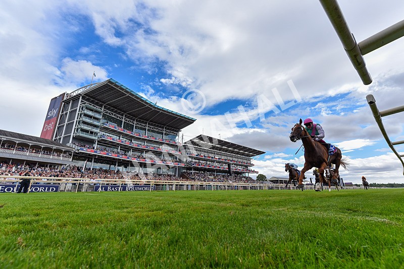250726-Race 3-Item-4054 - Race 3 14.35pm Sky Bet York Stakes